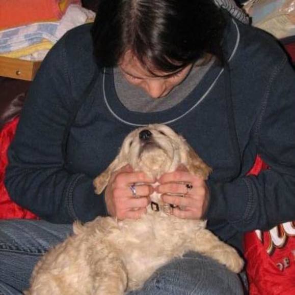 Meet your Posher, Kn - Picture 1 of 1